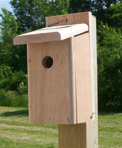 metal nest boxes for macaws|chickadee nest box hole size.